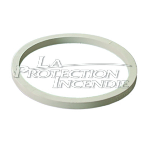 Gasket for DN40 plugs