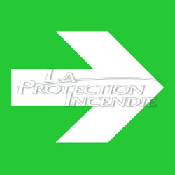 Green evacuation sign “HORIZONTAL ARROW”