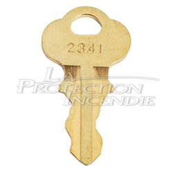 Emergency Exit Alarm Key – Secure Arming and Disarming