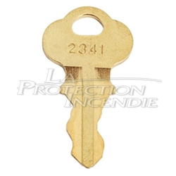 Emergency Exit Alarm Key – Secure Arming and Disarming