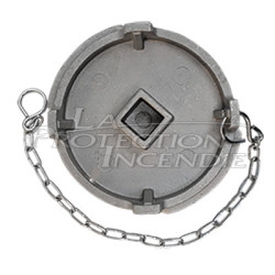 Fire hydrant cap, with chain