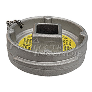 Fire hydrant cap