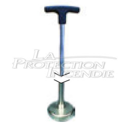 Plate lifter with magnet