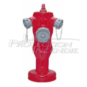 Clapet seul + Goupille AVK DN100 - Pegase 2