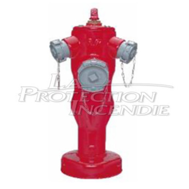 Clapet seul + Goupille AVK DN100 - Pegase 2