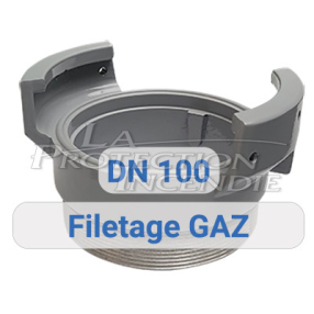 Prise symétrique - filetage gaz - DN100 AVK