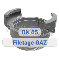 Prise symétrique - filetage gaz - DN65 AVK
