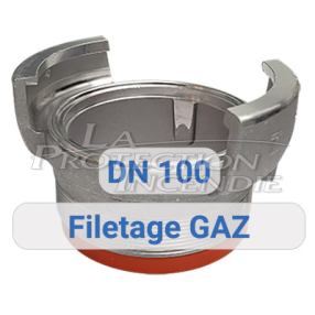 Prise symétrique - filetage gaz - DN100 PAM