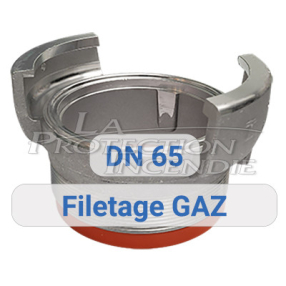 Prise symétrique - filetage gaz - DN65 PAM