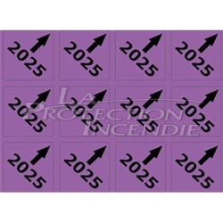 Square check macaron