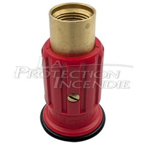 Diffuseur RIA Eurofeu DN25