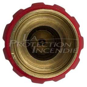 Diffuser Eurofeu DN25 RIA