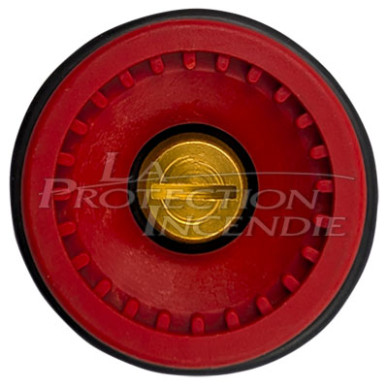 Diffuser RIA Matincendie DN33
