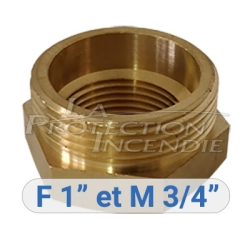 RIA F1 and M0.75 adapter