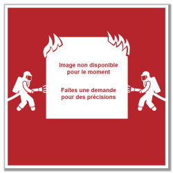 Flexible de 2 m haute pression avec raccord DSP65 et Express