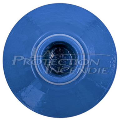 Valve only + AVK pin DN100 - Pegase 2