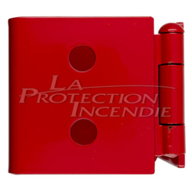 Ladder tie with lock