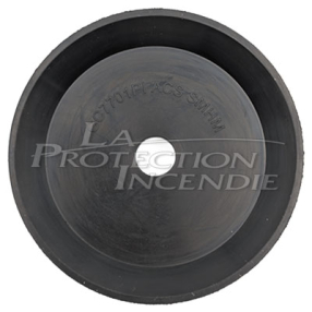 Clapet pour les poteaux AVK DN100 non renversable gammes Vega et Orion fabriqués depuis 1999