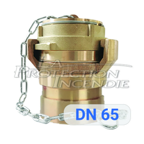 Grooved supply fitting for brass dry riser - DN 65