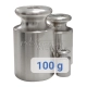 100g stainless steel calibration weight - category M2 - without hook