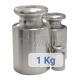1 kg stainless steel calibration weight - category M2 - without hook