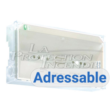 Addressable ambient lighting block