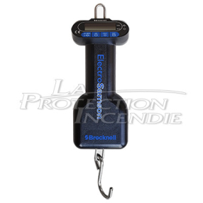 Samson electronic scale