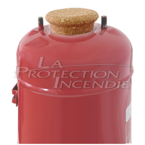 Fire extinguisher maintenance cap