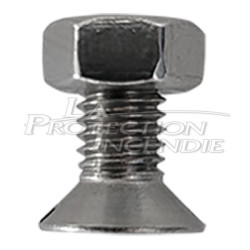 Fixing screw for magnetic support