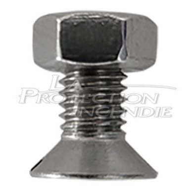 Fixing screw for magnetic support