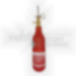 CO2 bottle 0.45 kg for E45 CO2 bottle 0.45 kg for E45