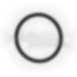 AREX O-ring AREX O-ring
