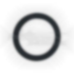 ANDRIEU flat gasket