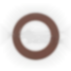 CO2 flat gasket for 5K EUROFEU lance