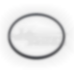 ISOGARD head gasket