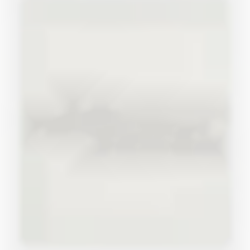 Window 74.5 x 64 DEXA
