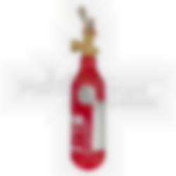 Bouteille CO2 0.45 kg pour E45