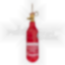 Bouteille CO2 0.45 kg pour E45