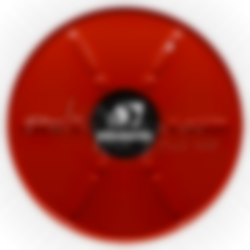 Joints RIA DESAUTEL DN33